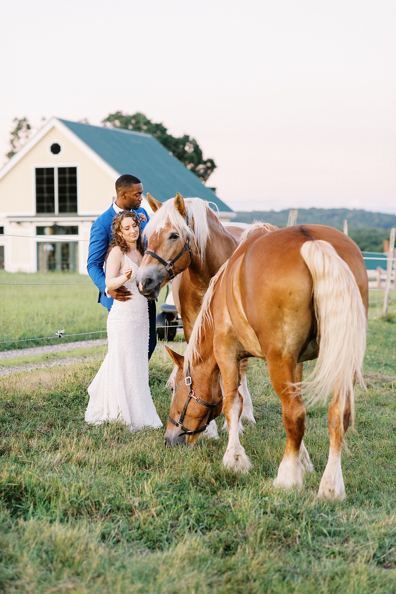 Newlywed couple petting horses at their wedding with Boston wedding photographer.