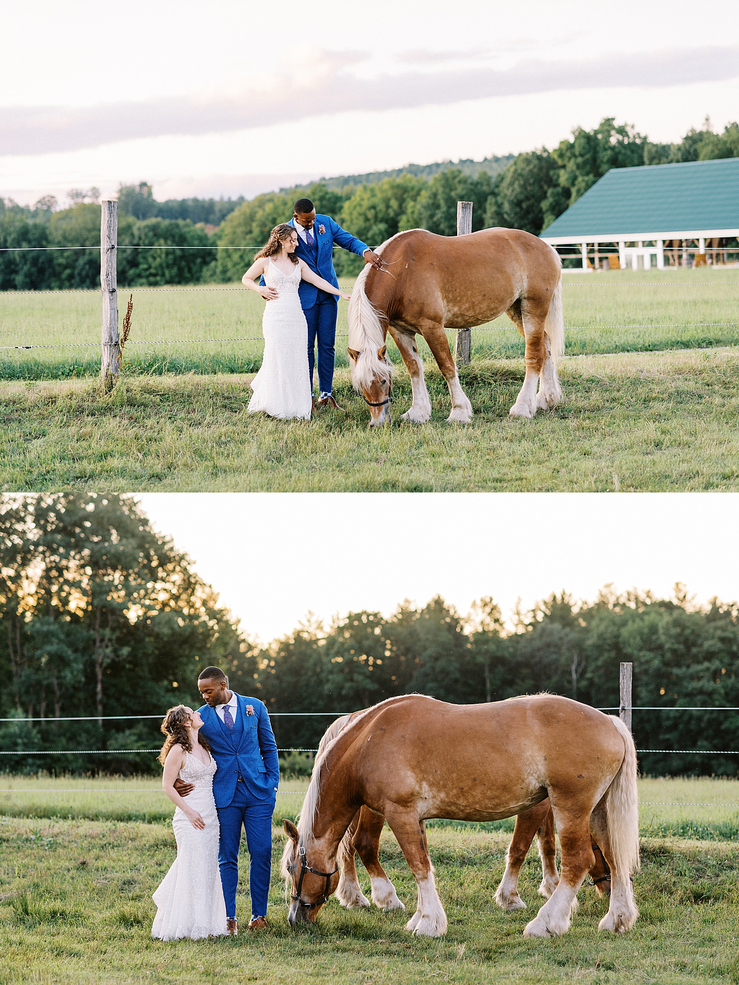 Newlyweds petting a horse in golden hour by Lynne Reznik photography 