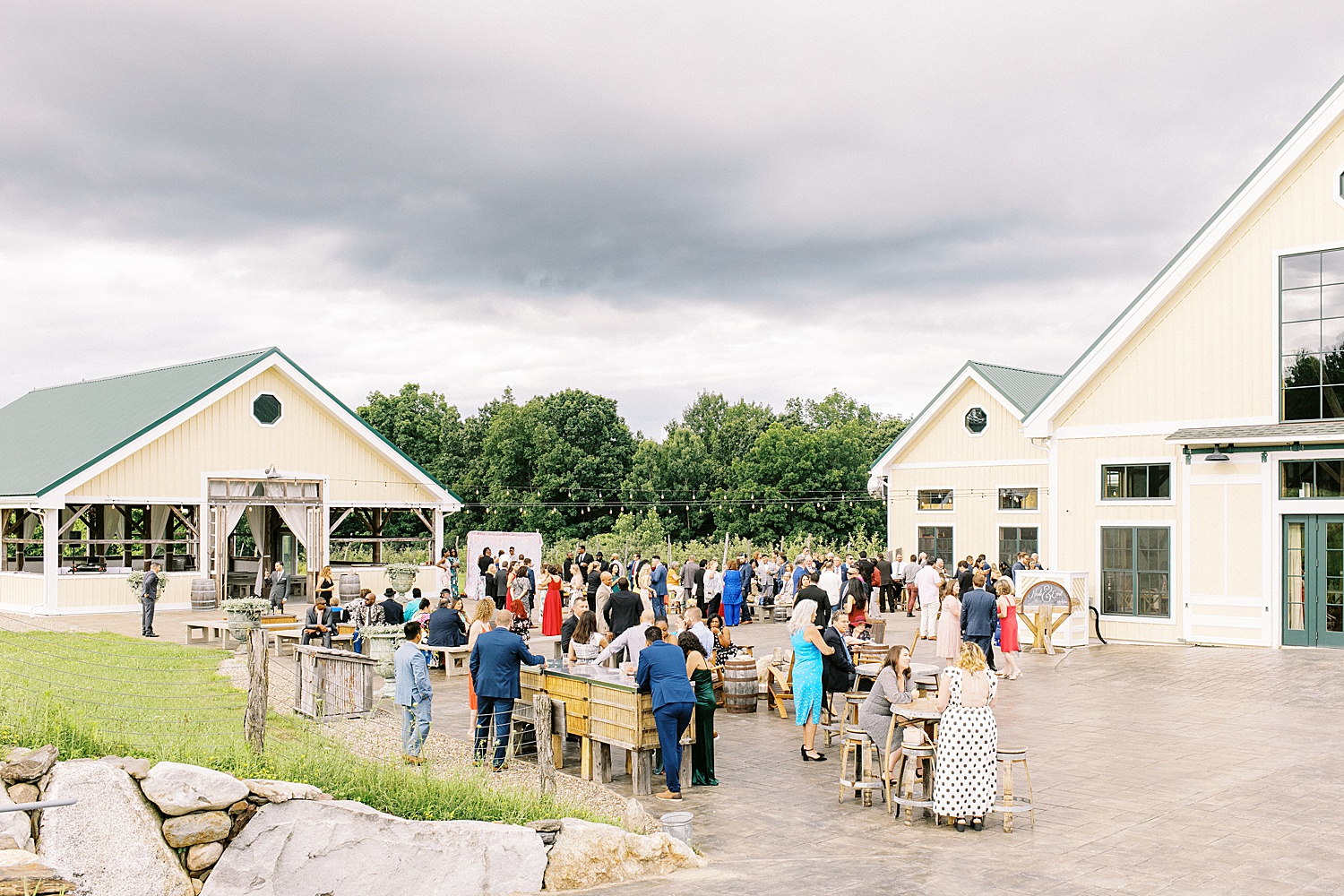 Guests mingling outdoors for Summer wedding by Lynne Reznick photography 