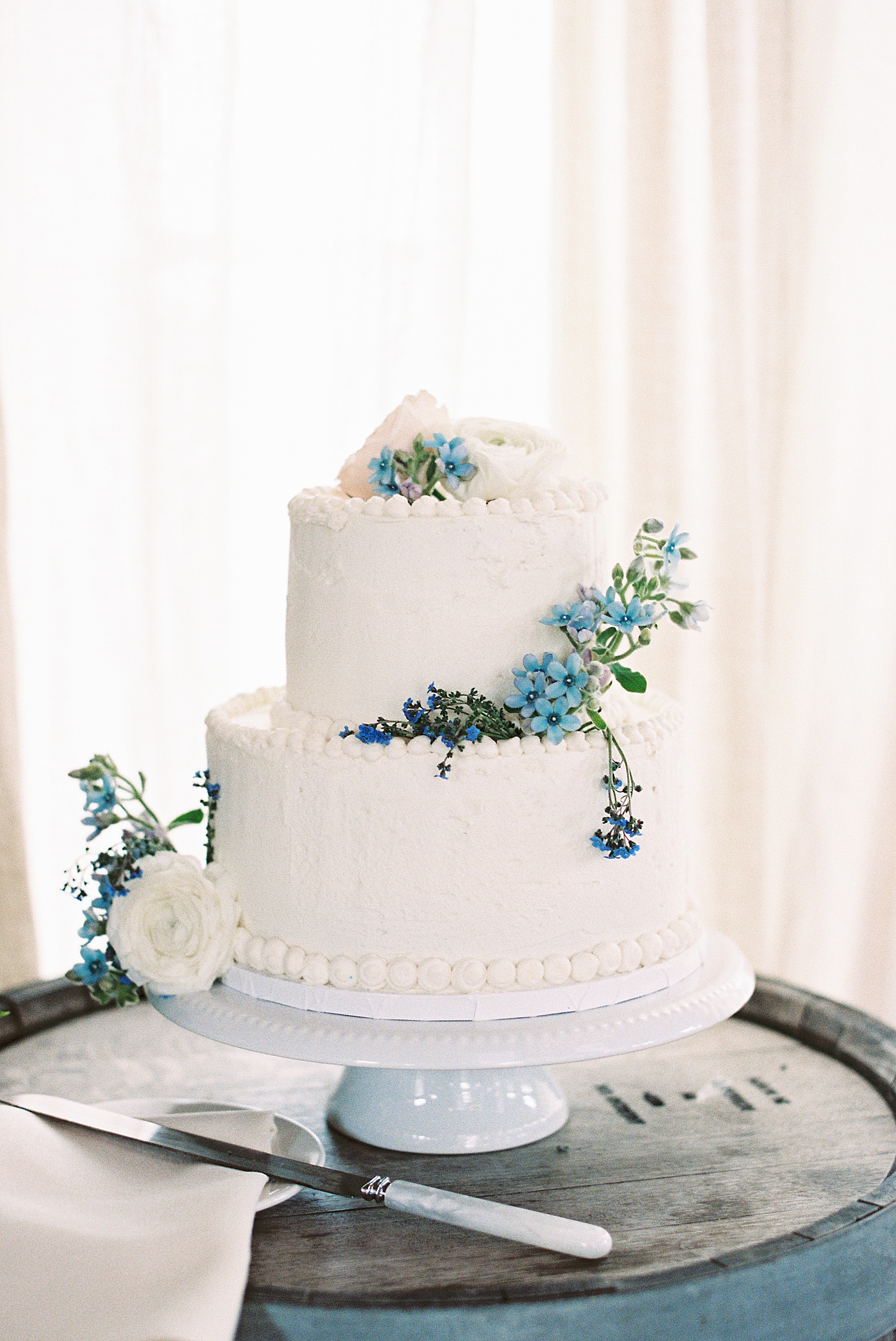 Two tier cake with blue flowers by Lynne Reznick Photography 