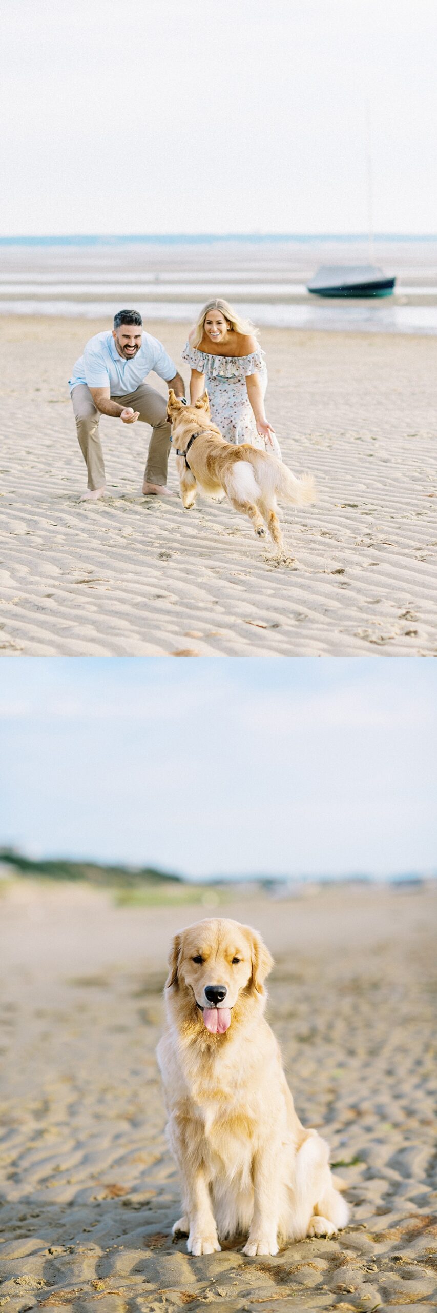 couple cheering golden retriever during Cape Cod Engagement 
