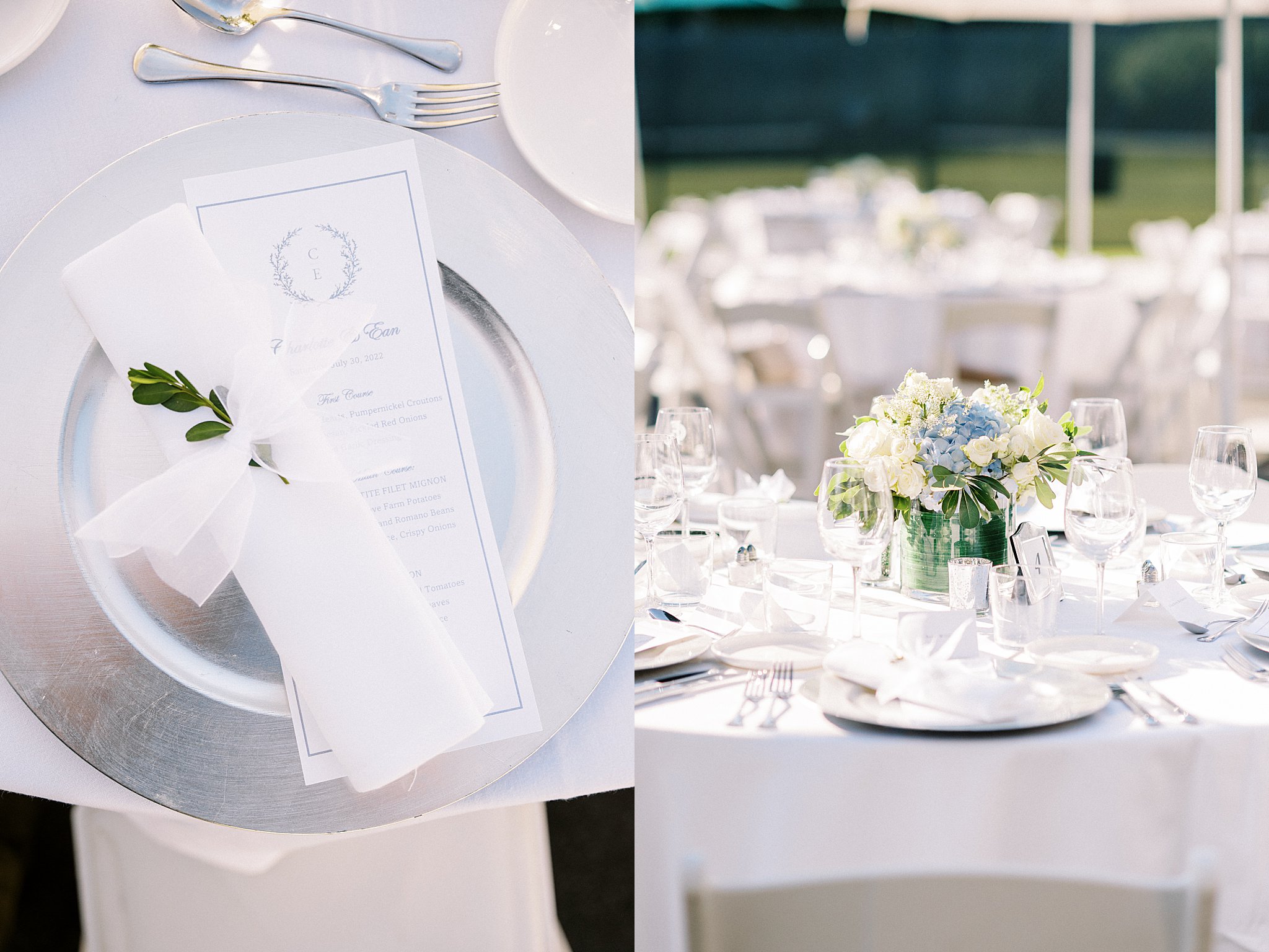 custom menus sit atop plates at reception by Lynne Reznick Photography 