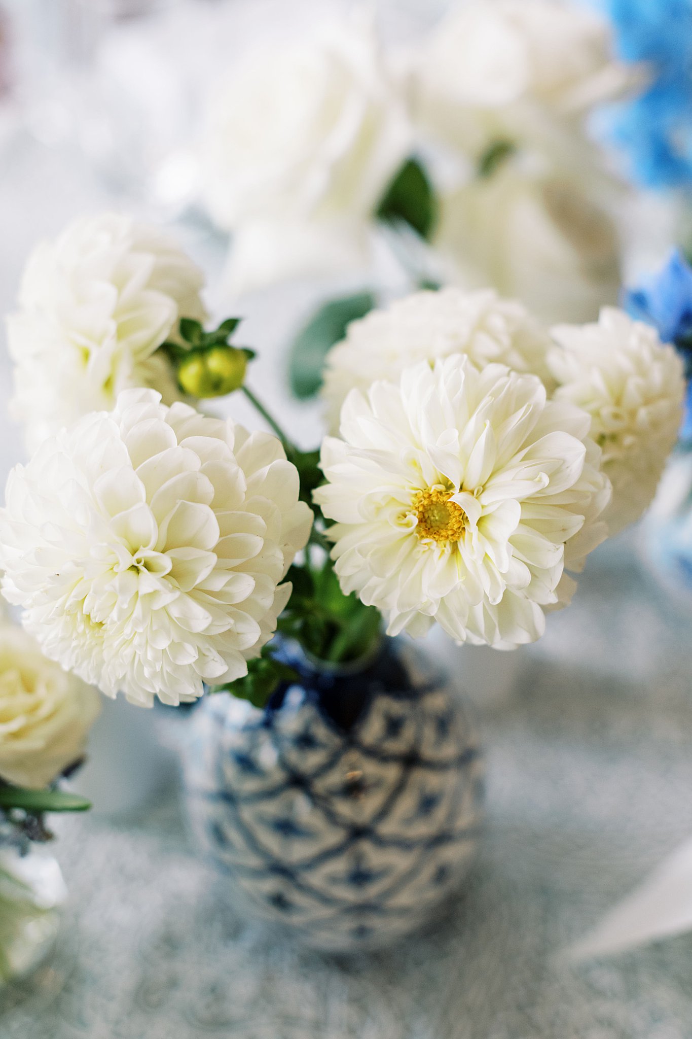 white dahlias in blue and white vase by Lynne Reznick Photography 