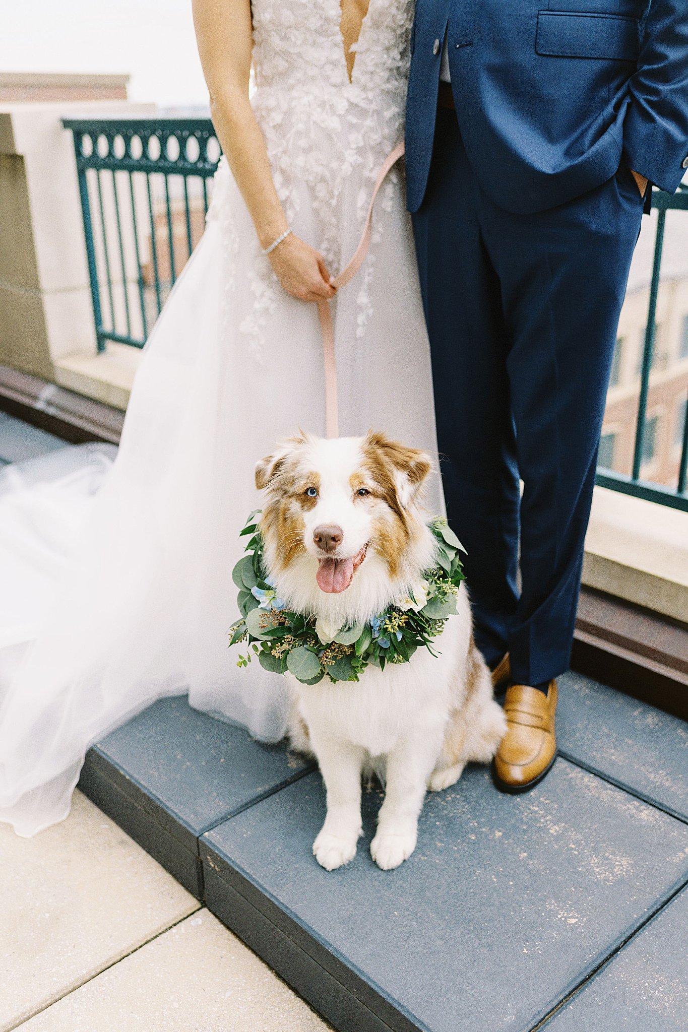 bride and groom stand with dog with floral collar by Boston wedding photographer