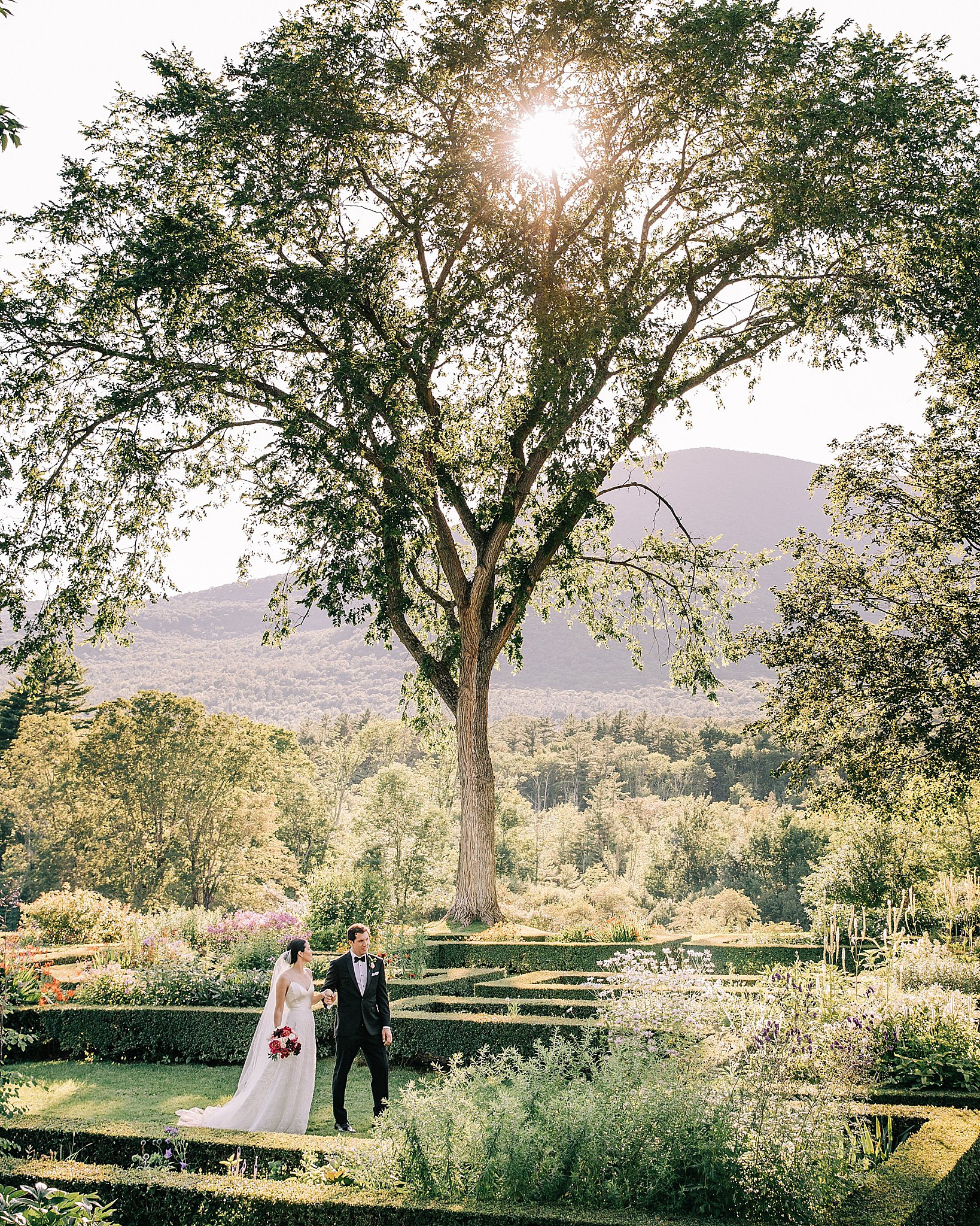 sun shines through tree as bride and groom walk together by Lynne Reznick Photography