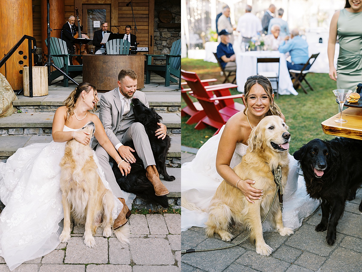 Bride and groom hold their dogs close for Boston Wedding Photographer