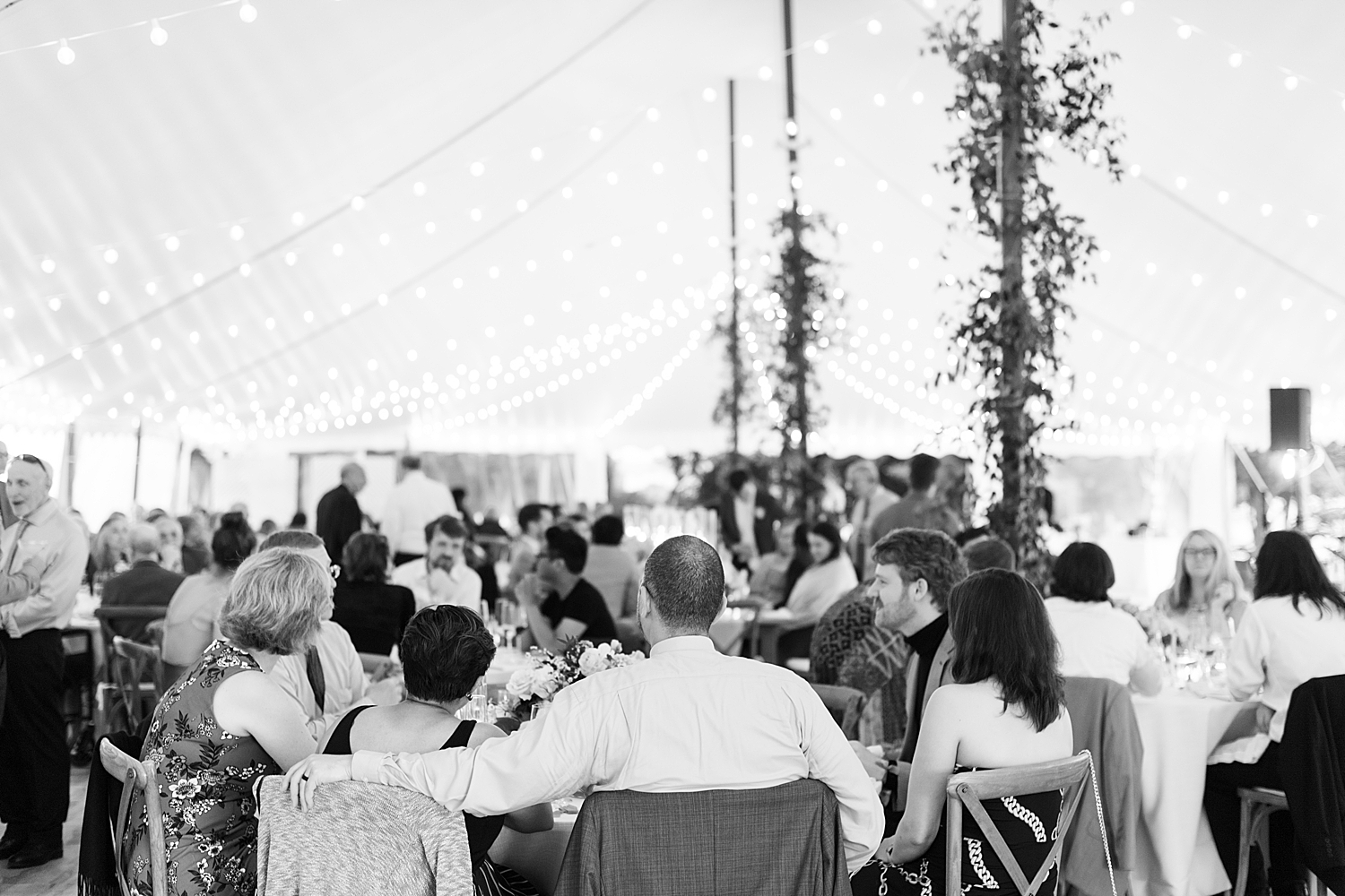 guests sit to eat dinner under decorated tent by Lynne Reznick Photography