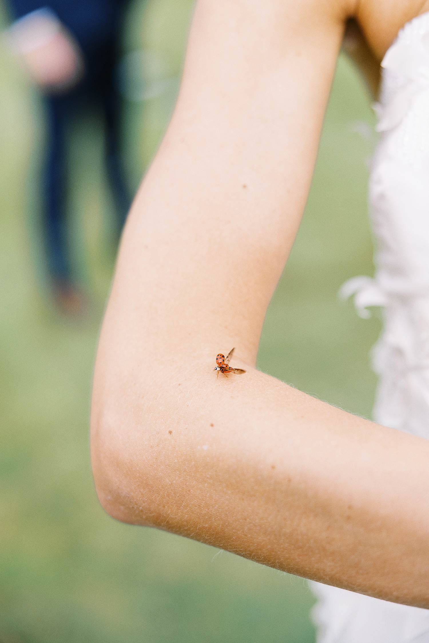 ladybug lands on bride's arms during portraits with Lynne Reznick photography
