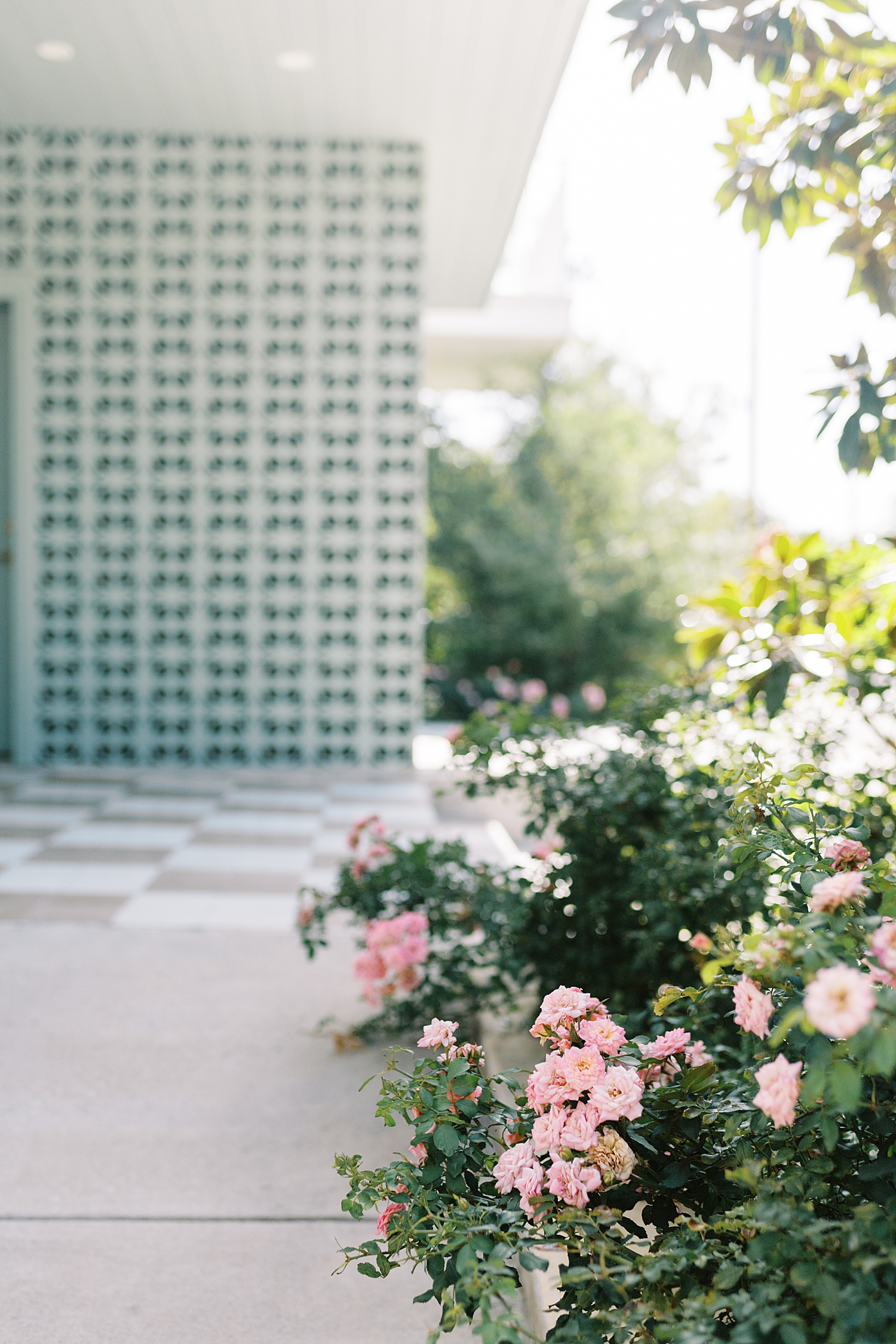 roses lining a walkway leading up to front door by Austin wedding photographer